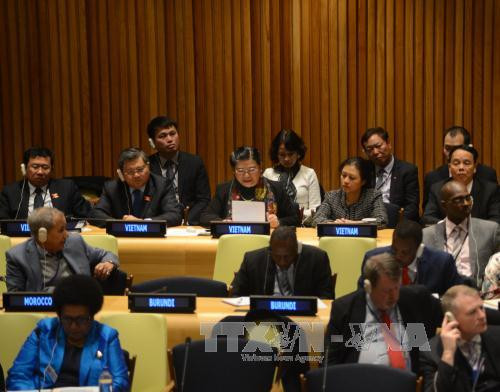 越南国会副主席丛氏放:越南愿同国际社会一道保护海洋环境 ảnh 1 越南国会副主席丛氏放:越南愿同国际社会一道保护海洋环境 ảnh 1