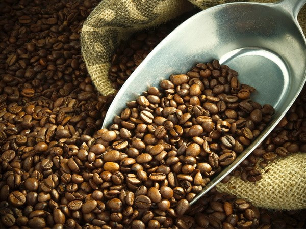 越南着力采取扩大咖啡销售市场的措施 ảnh 1 越南着力采取扩大咖啡销售市场的措施 ảnh 1