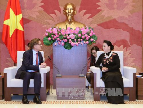 越南国会主席阮氏金银会见瑞典与匈牙利驻越大使 ảnh 2