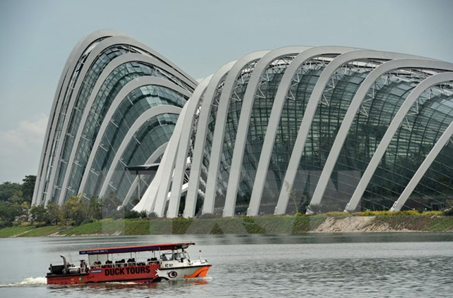 新加坡2016年的国际游客到访量达1640万人次 ảnh 1