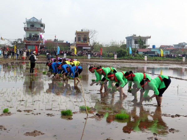 国家副主席邓氏玉盛出席2017年丁酉新春下田节 ảnh 1 国家副主席邓氏玉盛出席2017年丁酉新春下田节 ảnh 1