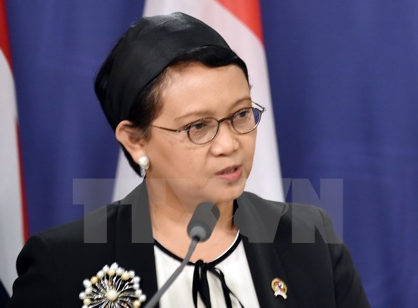 印尼与新加坡面向庆祝建交50周年 ảnh 1 印尼与新加坡面向庆祝建交50周年 ảnh 1