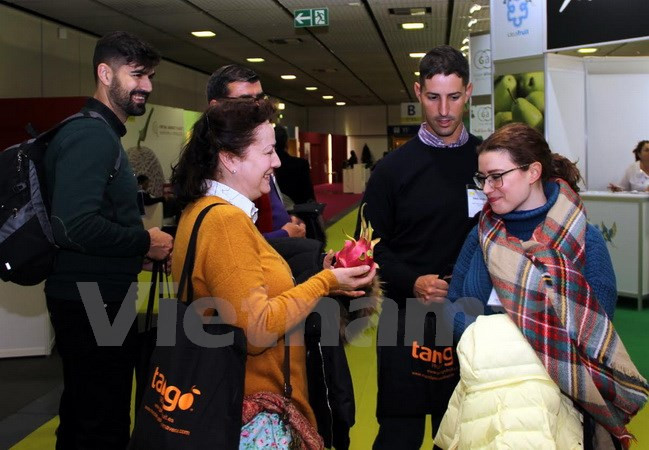 越南火龙果亮相德国柏林国际水果蔬菜博览会 ảnh 2