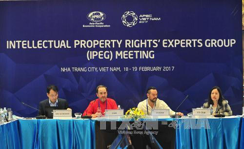 2017年APEC峰会：APEC知识产权专家组第44次会议在庆和省召开 ảnh 1