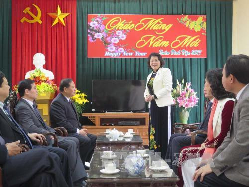 越南国家副主席邓氏玉盛赴海阳省调研指导工作 ảnh 1