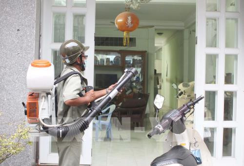 胡志明市寨卡病毒感染病例数继续增长 ảnh 1