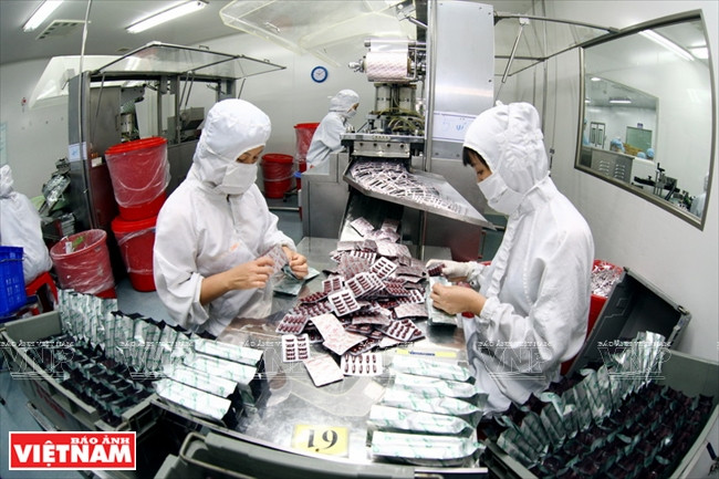 越南人的南药 ảnh 2