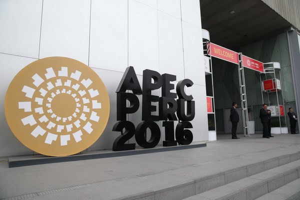 越南在推进APEC合作进程中发挥积极作用 ảnh 1 越南在推进APEC合作进程中发挥积极作用 ảnh 1