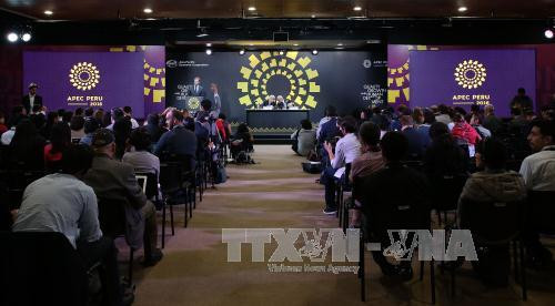 亚太经合组织经贸-外交部长级会议在秘鲁召开 ảnh 1 亚太经合组织经贸-外交部长级会议在秘鲁召开 ảnh 1