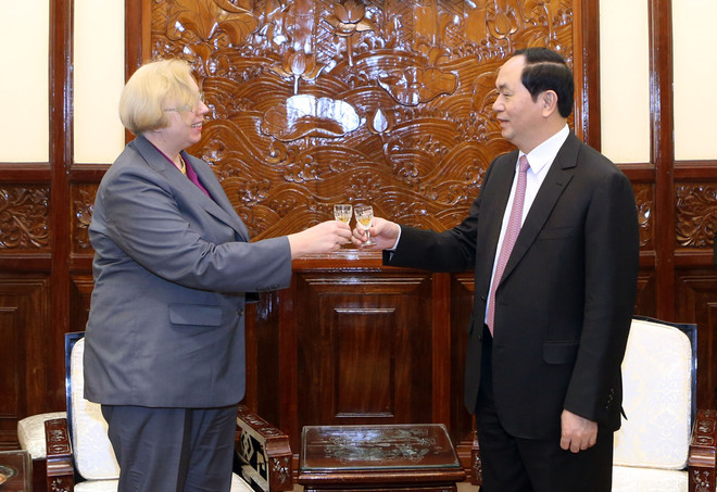 越南国家主席陈大光会见前来递交国书的各国新任驻越大使 ảnh 6