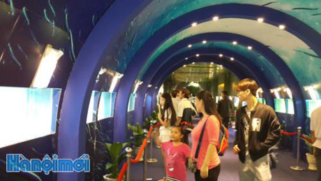 165家企业参加2016年第5次高科技农业与食品工业展销会 ảnh 1 165家企业参加2016年第5次高科技农业与食品工业展销会 ảnh 1