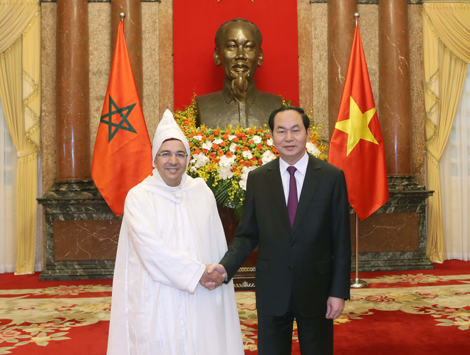 越南国家主席陈大光会见前来递交国书的各国新任驻越大使 ảnh 1