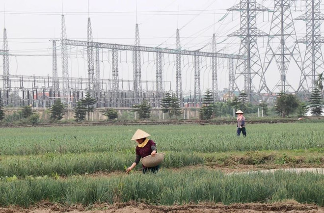 财政政策发挥绿色经济发展的“方向盘”作用 ảnh 1  财政政策发挥绿色经济发展的“方向盘”作用 ảnh 1