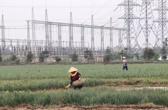  财政政策发挥绿色经济发展的“方向盘”作用 ảnh 1