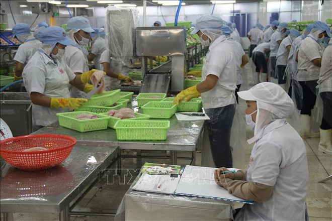 前江省力争2020年出口额达34亿美元 ảnh 1 前江省力争2020年出口额达34亿美元 ảnh 1