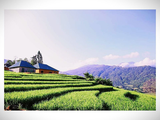 老街省哈尼族青年回归家乡投身于旅游创业 ảnh 2 老街省哈尼族青年回归家乡投身于旅游创业 ảnh 2