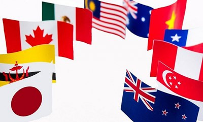 泰国考虑加入CPTPP ảnh 1 泰国考虑加入CPTPP ảnh 1