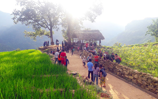 老街省哈尼族青年回归家乡投身于旅游创业 ảnh 1 老街省哈尼族青年回归家乡投身于旅游创业 ảnh 1