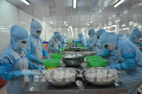 越南加强在印度的贸促活动 解决农产品出口困难问题 ảnh 2 越南加强在印度的贸促活动 解决农产品出口困难问题 ảnh 2