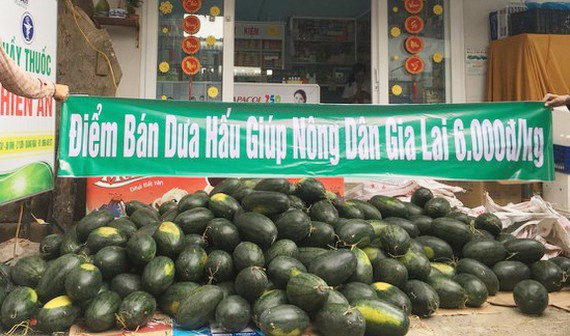 韩国携手助力解决越南农产品滞销问题 ảnh 1 韩国携手助力解决越南农产品滞销问题 ảnh 1