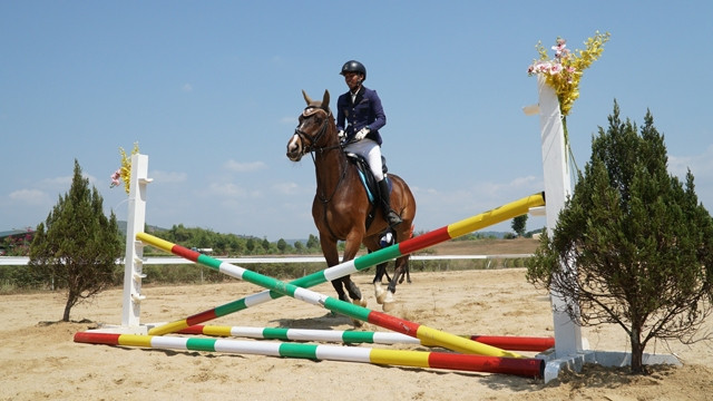 越南奥林匹克马术俱乐部开业 ảnh 1 越南奥林匹克马术俱乐部开业 ảnh 1