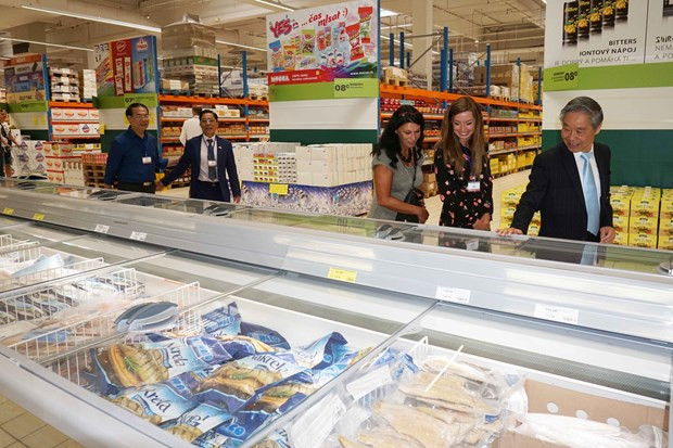 EVFTA成为推进越南与捷克经济关系的新动力 ảnh 1 EVFTA成为推进越南与捷克经济关系的新动力 ảnh 1