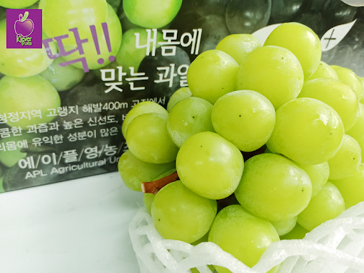 越南成为韩国葡萄最大进口市场 ảnh 1 越南成为韩国葡萄最大进口市场 ảnh 1