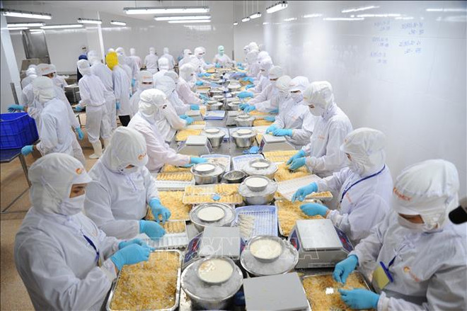 新冠肺炎疫情：越南渔业部门出台多项应对措施 ảnh 1