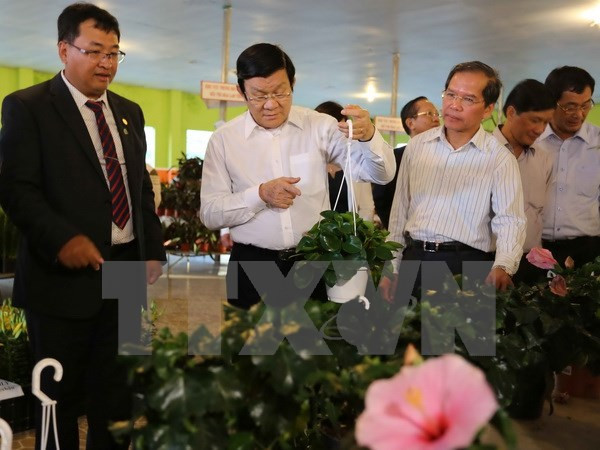 张晋创主席考察林同省高科技农业生产模式 ảnh 1