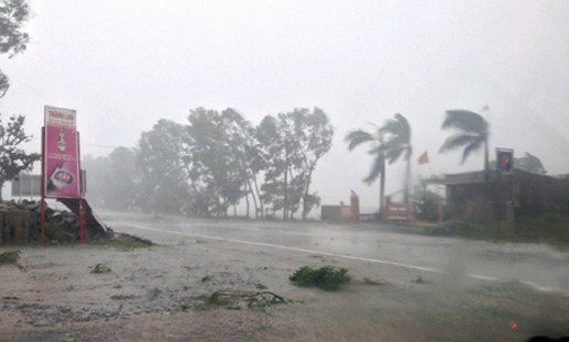 越南政府拨出1300亿越盾协助多省克服洪灾 ảnh 1