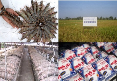 薄辽省力争2016年出口额达7.85亿美元 ảnh 1 薄辽省力争2016年出口额达7.85亿美元 ảnh 1