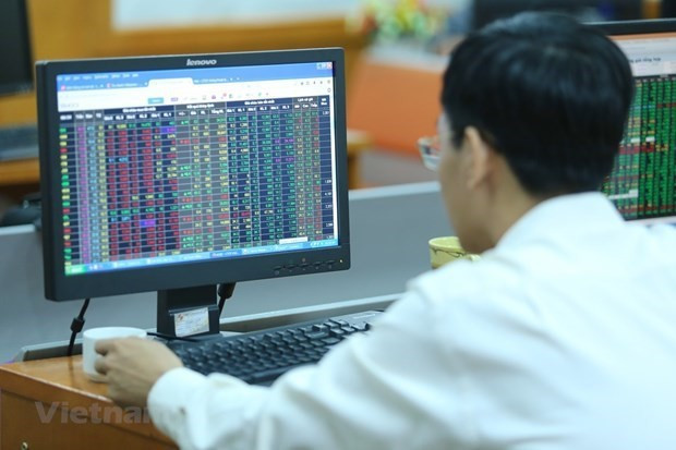内在力量:越南股市成功的决定性因素 ảnh 1 内在力量:越南股市成功的决定性因素 ảnh 1