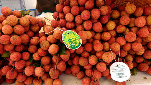 青河荔枝促销对接会议将于本月中旬举行 ảnh 1 青河荔枝促销对接会议将于本月中旬举行 ảnh 1