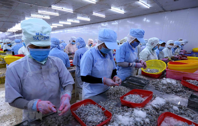 尽管疫情围攻 越南水产品出口仍迎来许多机会 ảnh 1