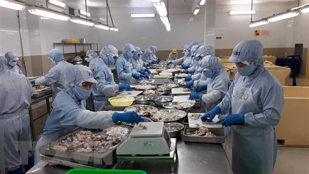 出口呈增长势头 但绝不能对疫情掉以轻心 ảnh 1 出口呈增长势头 但绝不能对疫情掉以轻心 ảnh 1