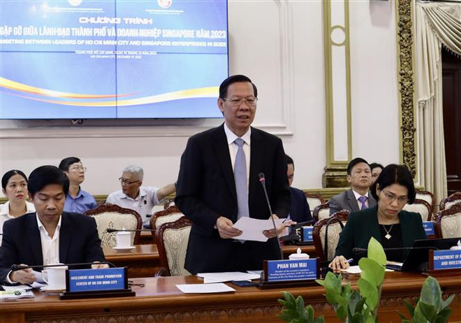 越南胡志明市吸引新加坡企业投资的机会 ảnh 1