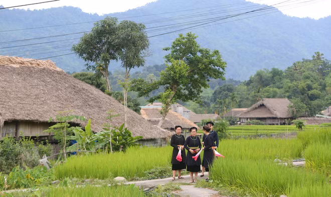 越南岱依族 ảnh 1
