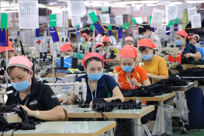 财政部部长胡德福：全力做好2024年各项财政收支任务 ảnh 2