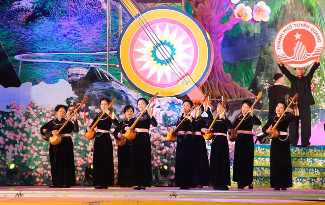 越南岱依族 ảnh 3