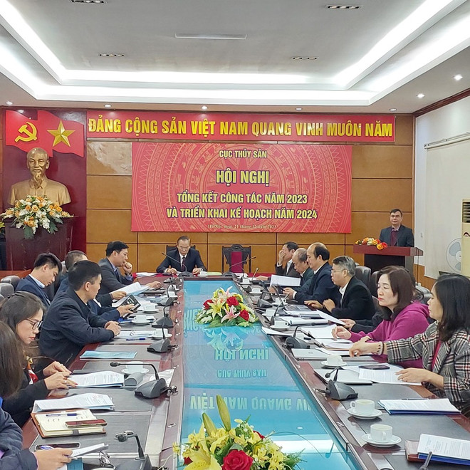 2024年越南水产品出口可达95亿美元的目标 ảnh 1