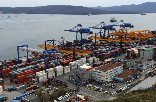 越南与俄罗斯滨海边疆区的合作潜力巨大 ảnh 1 越南与俄罗斯滨海边疆区的合作潜力巨大 ảnh 1