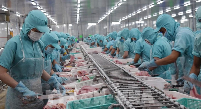 越南驻美国大使阮国勇：2023年是越美关系取得许多重要进展的一年 ảnh 2