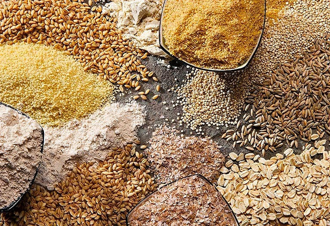 今年前11个月越南饲料出口总额超11.1亿美元 ảnh 1 今年前11个月越南饲料出口总额超11.1亿美元 ảnh 1