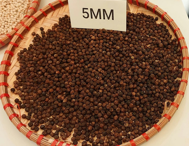 越南香料产业发展潜力巨大 ảnh 1 越南香料产业发展潜力巨大 ảnh 1