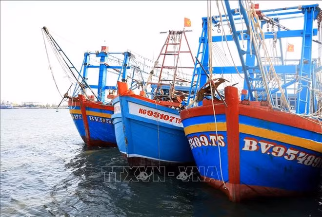 解除IUU“黄牌” 警告:打击非法捕捞进入高峰期 ảnh 1 解除IUU“黄牌” 警告:打击非法捕捞进入高峰期 ảnh 1