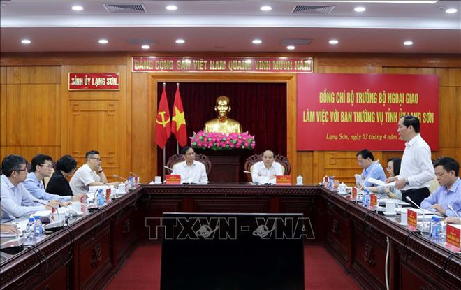 推动国际合作 争取资源促进发展 ảnh 1