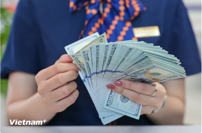 4月4日上午越南各家商业银行美元卖出价超过25000越盾 ảnh 1