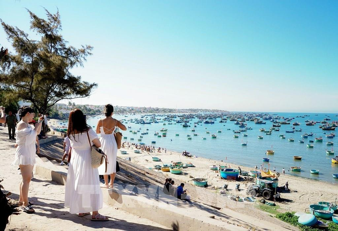 越南——加拿大人理想、有趣且安全的目的地 ảnh 1 越南——加拿大人理想、有趣且安全的目的地 ảnh 1