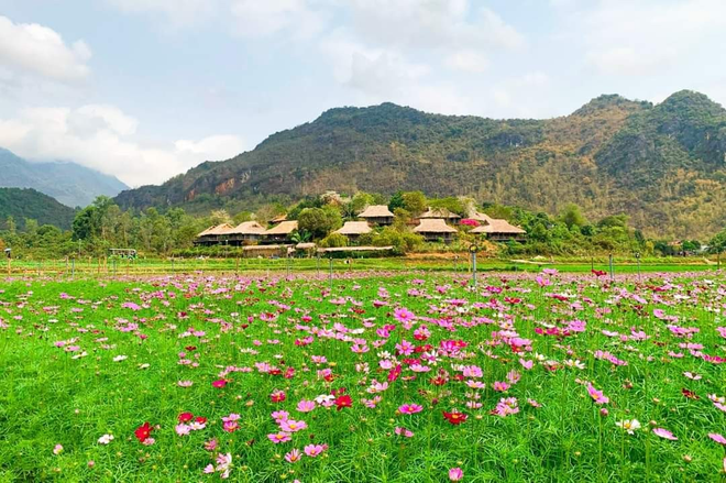 将梅州县发展成为国内外游客颇具吸引力的旅游目的地 ảnh 1 将梅州县发展成为国内外游客颇具吸引力的旅游目的地 ảnh 1