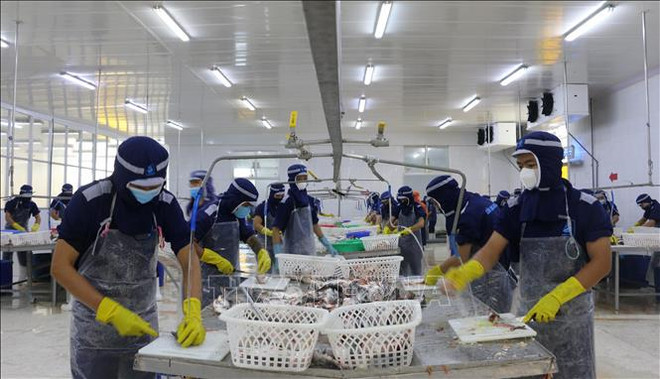 ☕️越通社新闻下午茶(2024.4.3) ảnh 3 ☕️越通社新闻下午茶(2024.4.3) ảnh 3